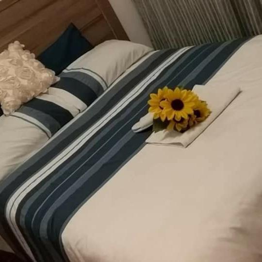 Midrand Bed And Breakfast Εξωτερικό φωτογραφία